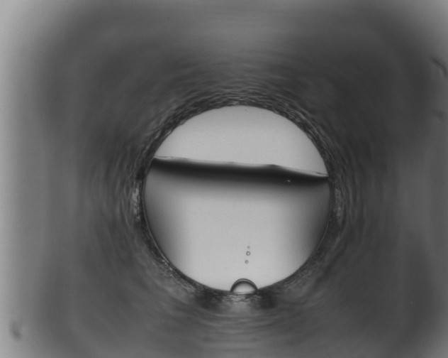 X0000100380613200806060828