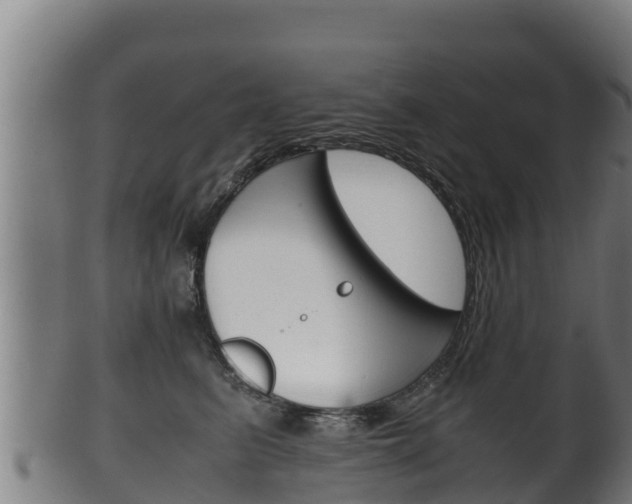 X0000100380615200806060827