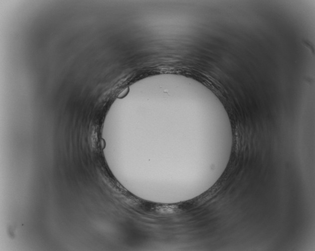 X0000100380618200806060827