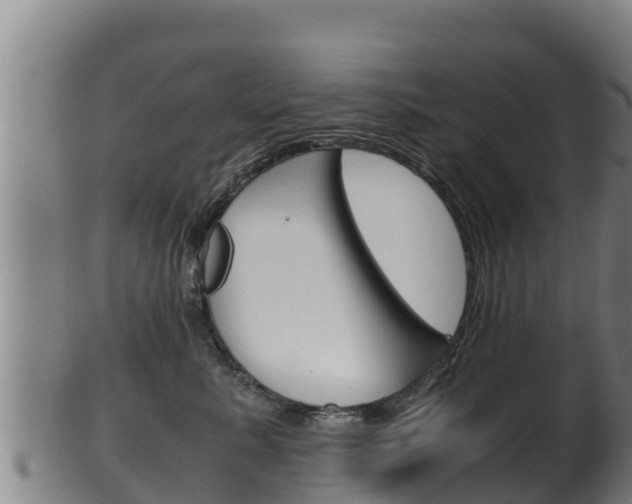 X0000100380619200806060827