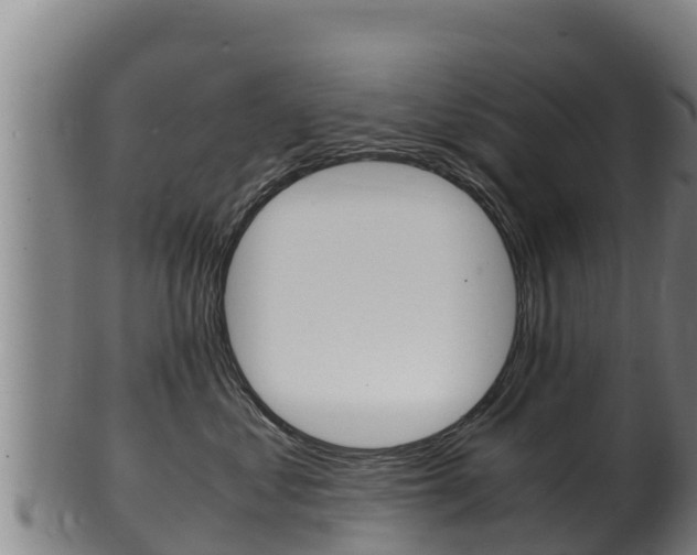 X0000100380621200806060827