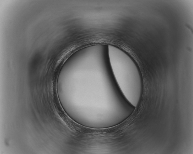 X0000100380626200806060827