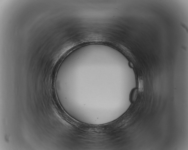 X0000100380627200806060827