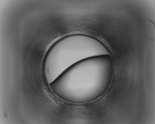 X0000100380628200806060827