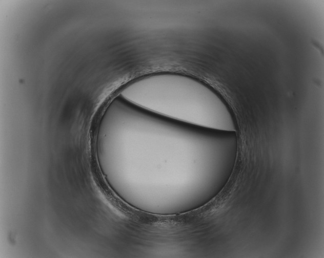 X0000100380630200806060827