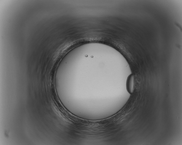 X0000100380631200806060827
