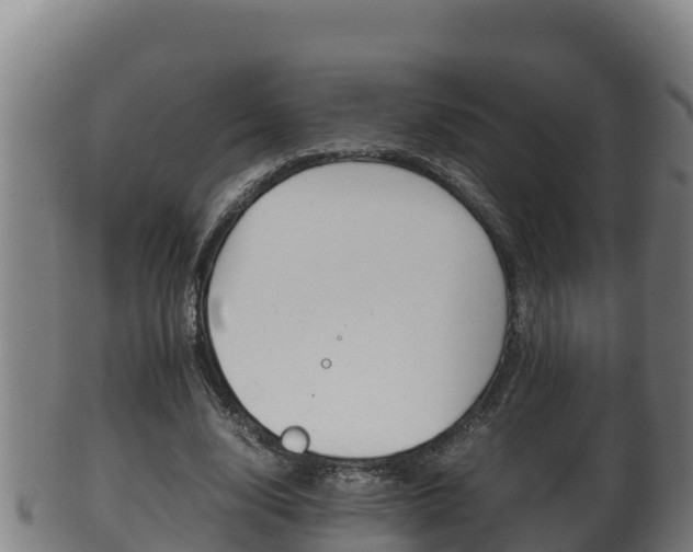 X0000100380632200806060827