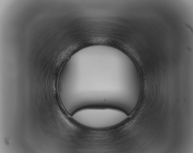 X0000100380633200806060827