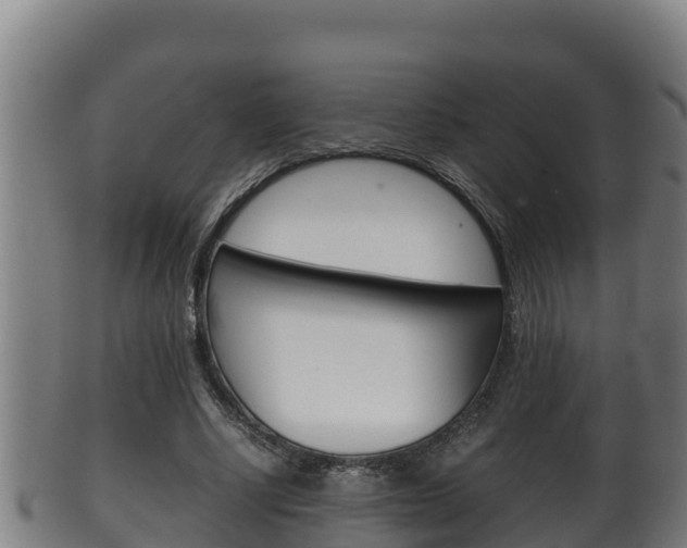 X0000100380634200806060827
