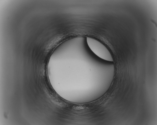 X0000100380635200806060827