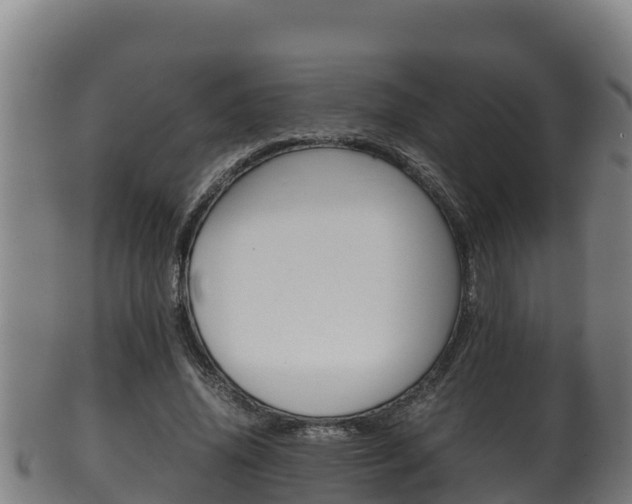 X0000100380636200806060827