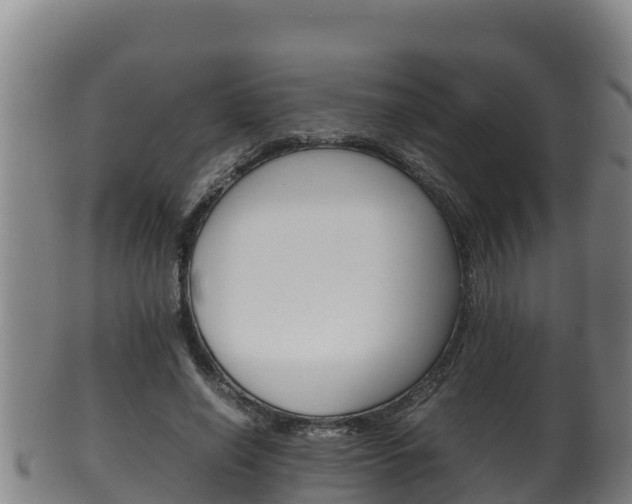 X0000100380638200806060827
