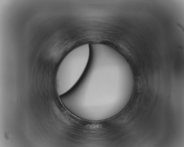 X0000100380639200806060827