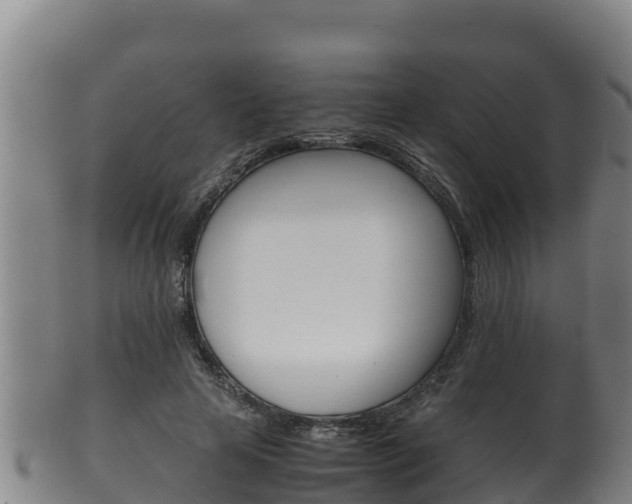X0000100380641200806060827