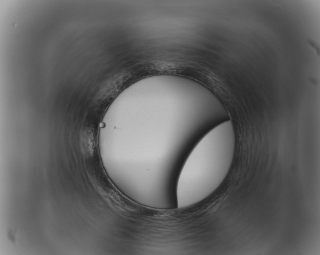 X0000100380644200806060827