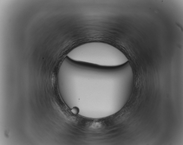 X0000100380647200806060827