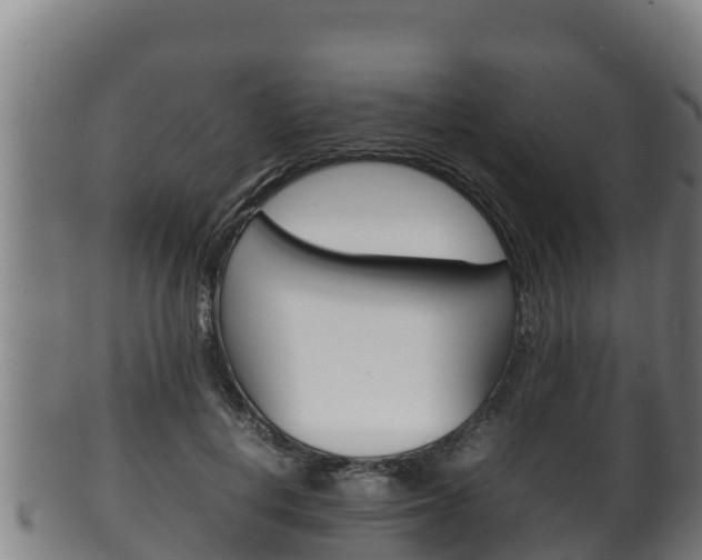 X0000100380648200806060827