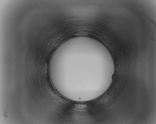 X0000100380649200806060827
