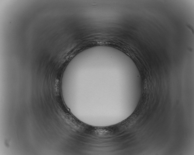 X0000100380650200806060827