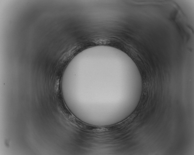 X0000100380652200806060827