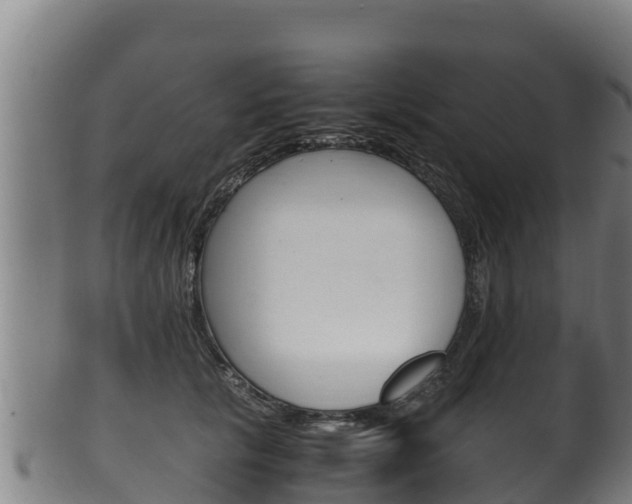 X0000100380657200806060827