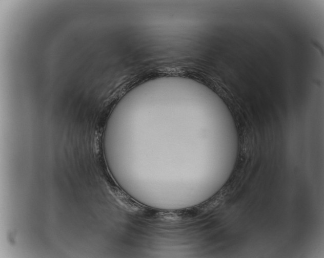 X0000100380658200806060827