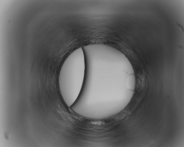 X0000100380659200806060827