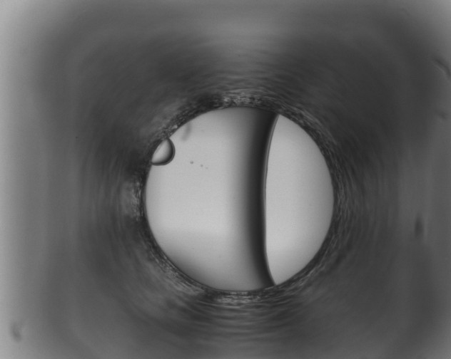 X0000100380661200806060827