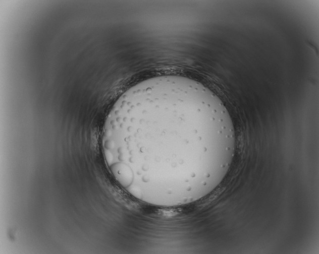 X0000100380662200806060827