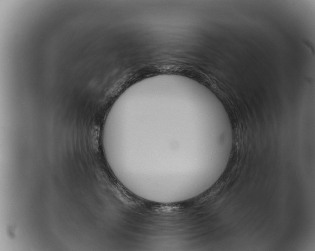 X0000100380664200806060827