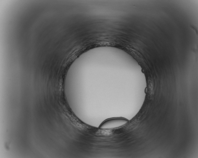 X0000100380665200806060827