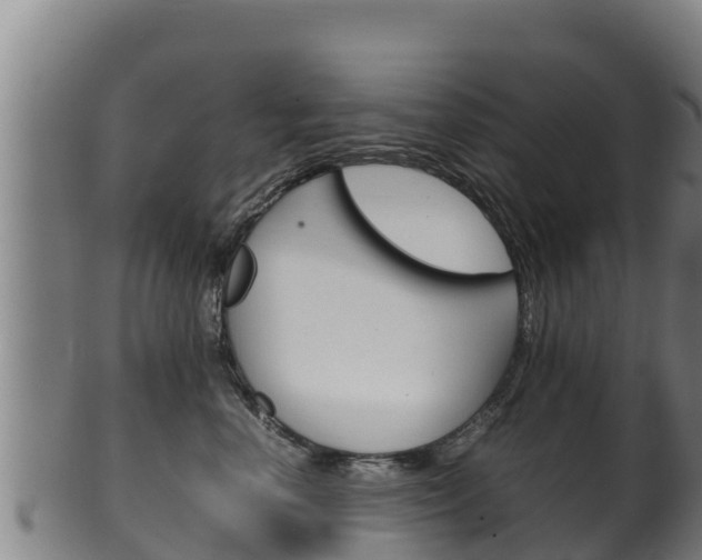 X0000100380666200806060827