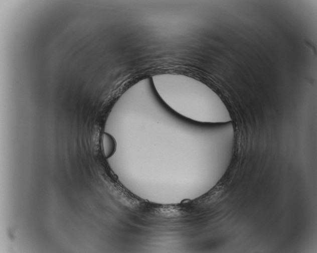 X0000100380668200806060827
