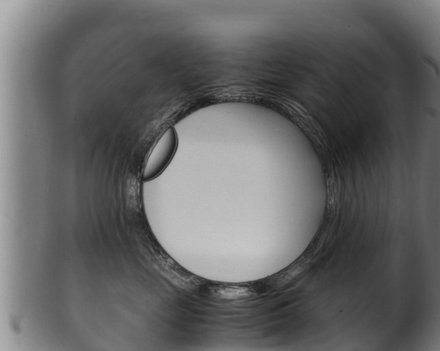 X0000100380669200806060827