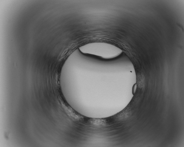 X0000100380670200806060827
