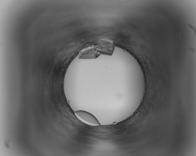 X0000100380672200806060827