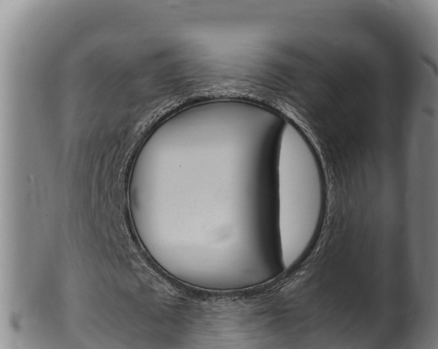 X0000100380673200806060827