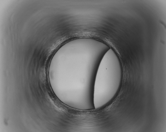 X0000100380674200806060827