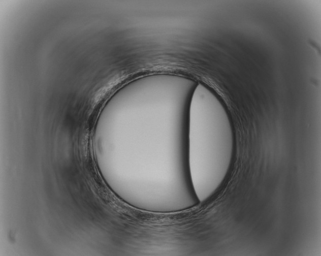 X0000100380675200806060827