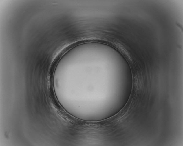 X0000100380676200806060827