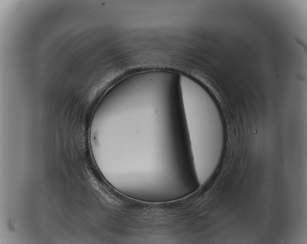 X0000100380677200806060827