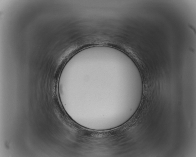 X0000100380679200806060827