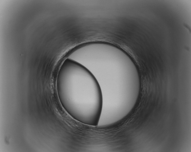 X0000100380680200806060827