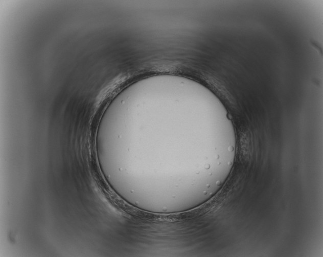 X0000100380682200806060827