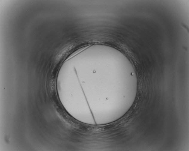 X0000100380683200806060827