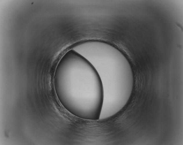 X0000100380684200806060826