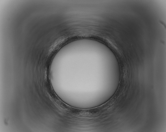X0000100380685200806060826