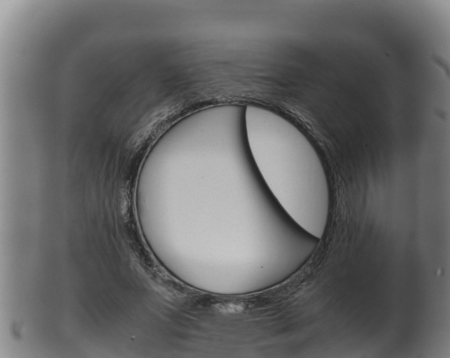X0000100380687200806060826