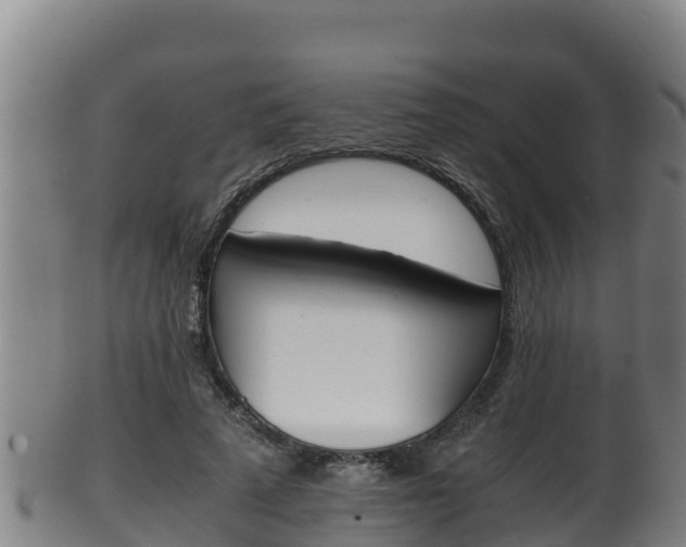 X0000100380689200806060826