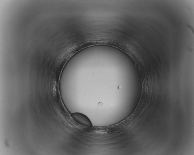 X0000100380692200806060826